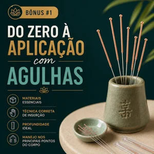 Bônus 1 — Do Zero à Aplicação com Agulhas
